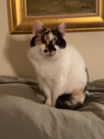 /album/265/whatsapp-image-2026-03-25-at-19-48-52-jpeg/